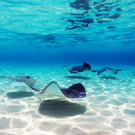Careers on Grand Cayman
