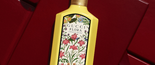 Penha Curacao - Fragrances for Her
